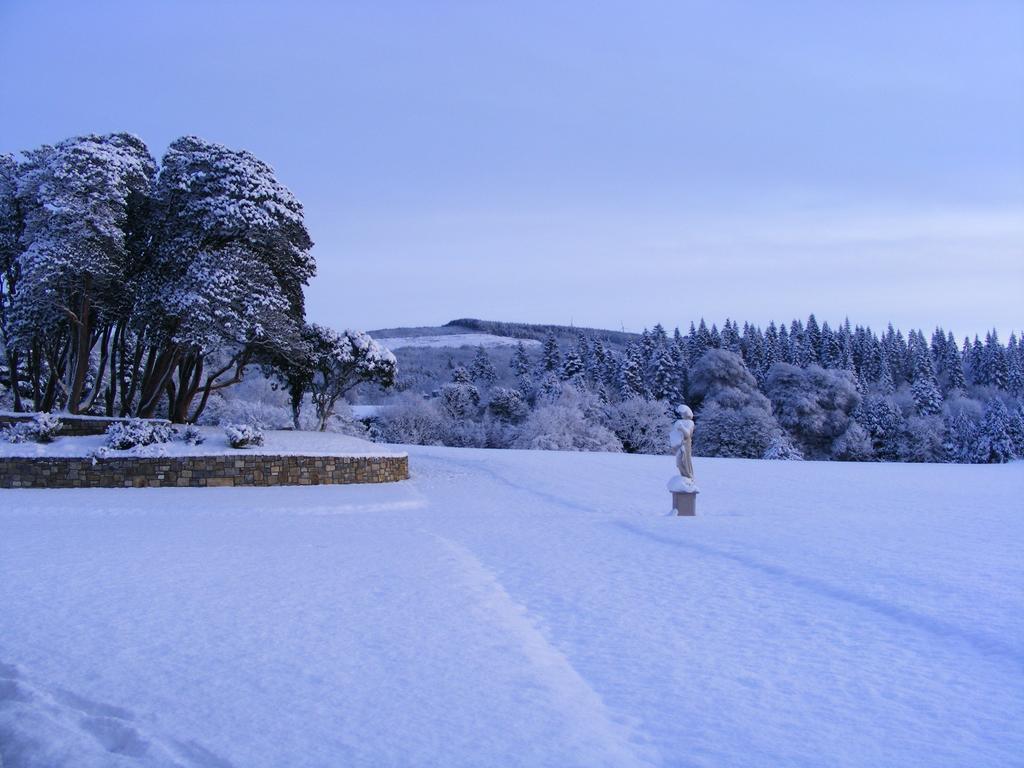 Kilronan Castle Hotel & Spa Ballyfarnon Eksteriør bilde